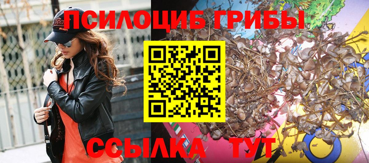Галлюциногенные грибы Psilocybine cubensis  Вход с VPN  Уссурийск  Псилоцибиновые грибы ЛСД 